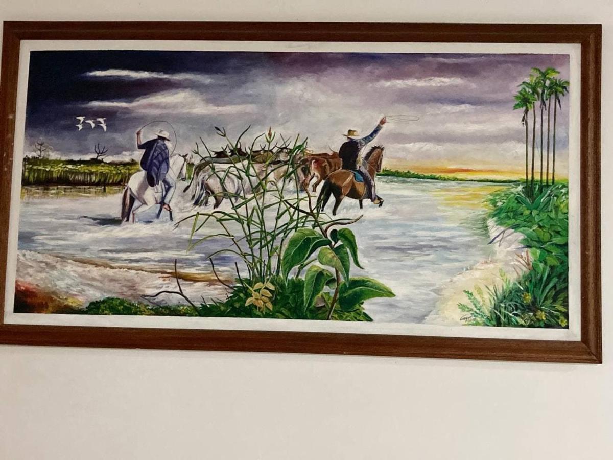 Refugio Llanero Hotel Boutique Villavo Centro 3K Aeropuerto ビリャビセンシオ エクステリア 写真