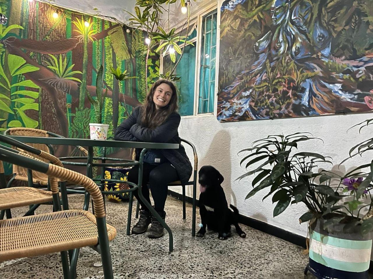 Refugio Llanero Hotel Boutique Villavo Centro 3K Aeropuerto ビリャビセンシオ エクステリア 写真